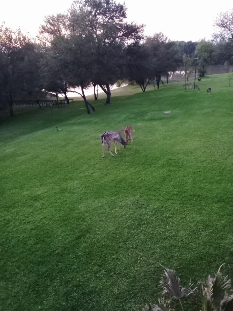 To Let 1 Bedroom Property for Rent in Boschenvaal River Front Lodges Free State